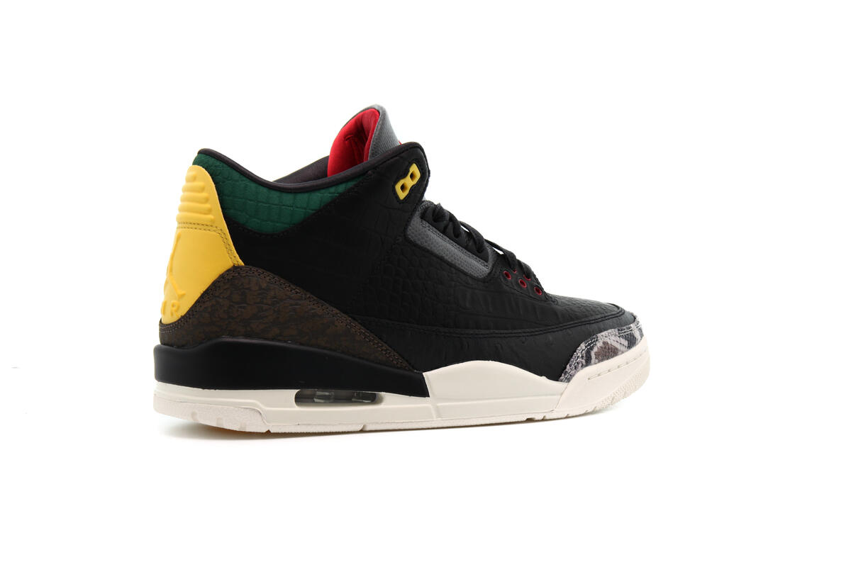 Air Jordan 3 RETRO SE 